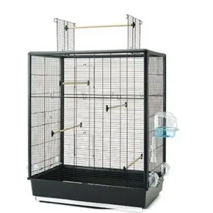 SAVIC Vogelheim Primo 60 Open Empire Knock Down Meistverkauft